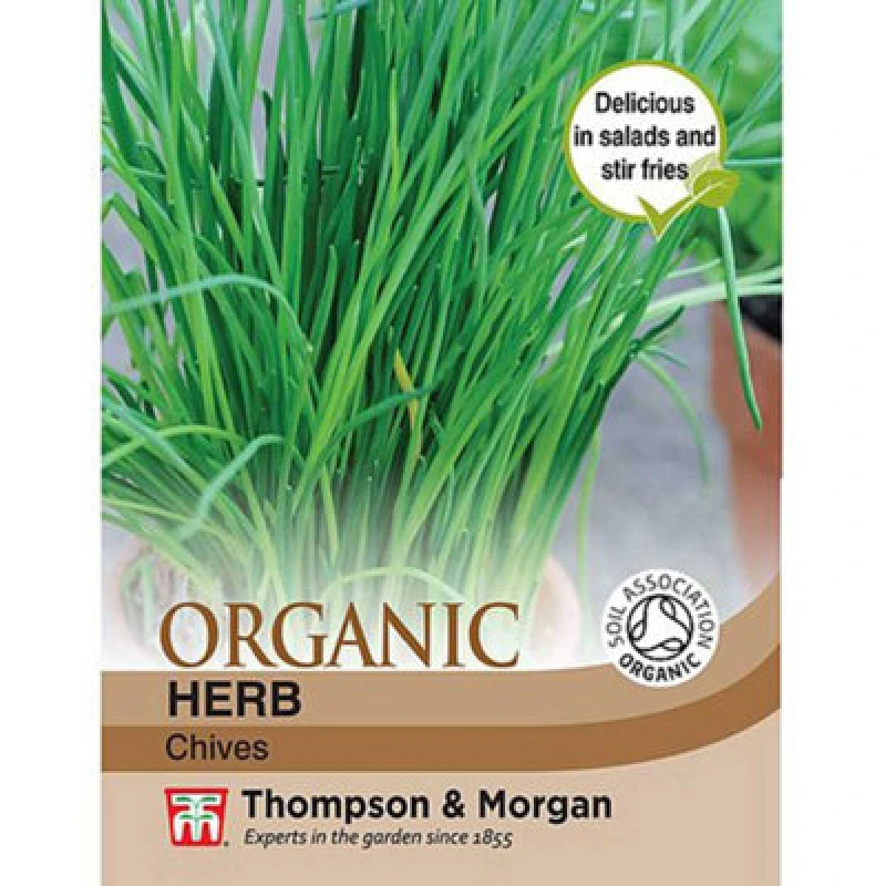Image of Thompson & Morgan Organic Herb Chives 1 Seed Packet 250 Seeds