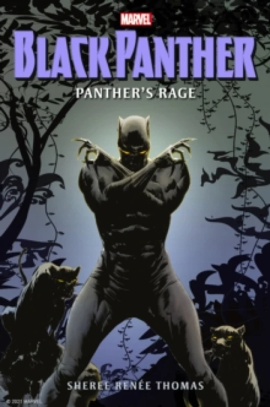 Image of Black Panther: Panther's Rage Paperback / softback