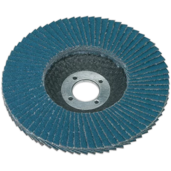Image of Sealey Zirconium Abrasive Flap Disc 100mm 40g