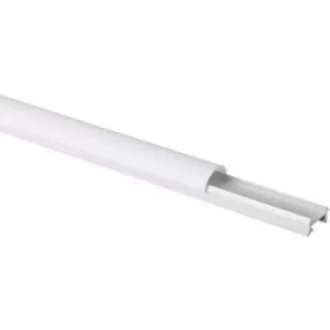 Image of Cover Opal Plastic (L x W x H) 1000 x 20.3 x 9.8mm Barthelme 62397901