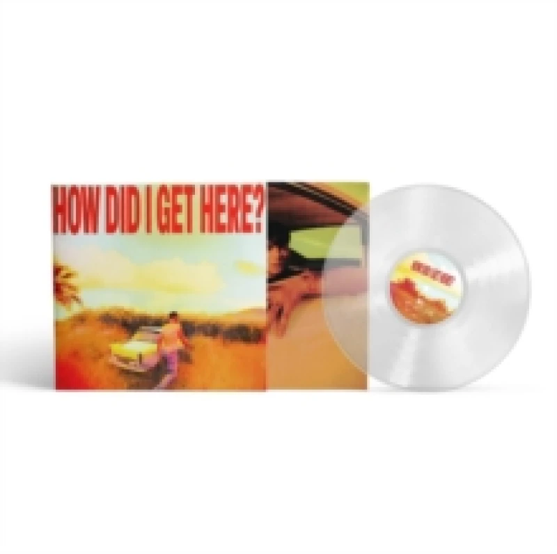 Image of How Did I Get Here? Vinyl