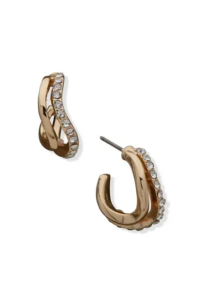 Image of Anne Klein Jewellery Earrings - 01G00115 Rose