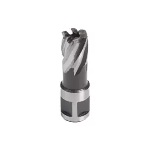 Image of Evolution Short Broaching Cutter 22mm