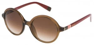 Image of Furla Shiny Translucent Brown Brown Lens Sunglasses.