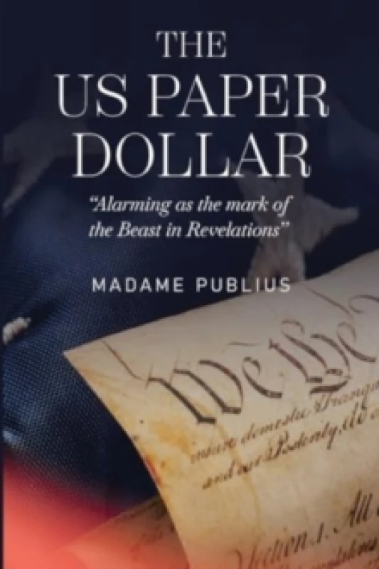 Image of The US Paper Dollar Paperback / softback