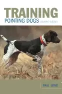 Image of training pointing dogs