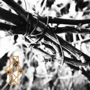 Image of Shrines for the Unwanted Respite for the Cast Aside by Common Eider, King Eider CD Album