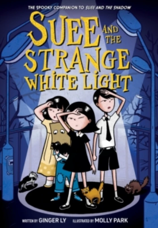 Image of Suee and the Strange White Light (Suee and the Shadow Book #2) Paperback / softback