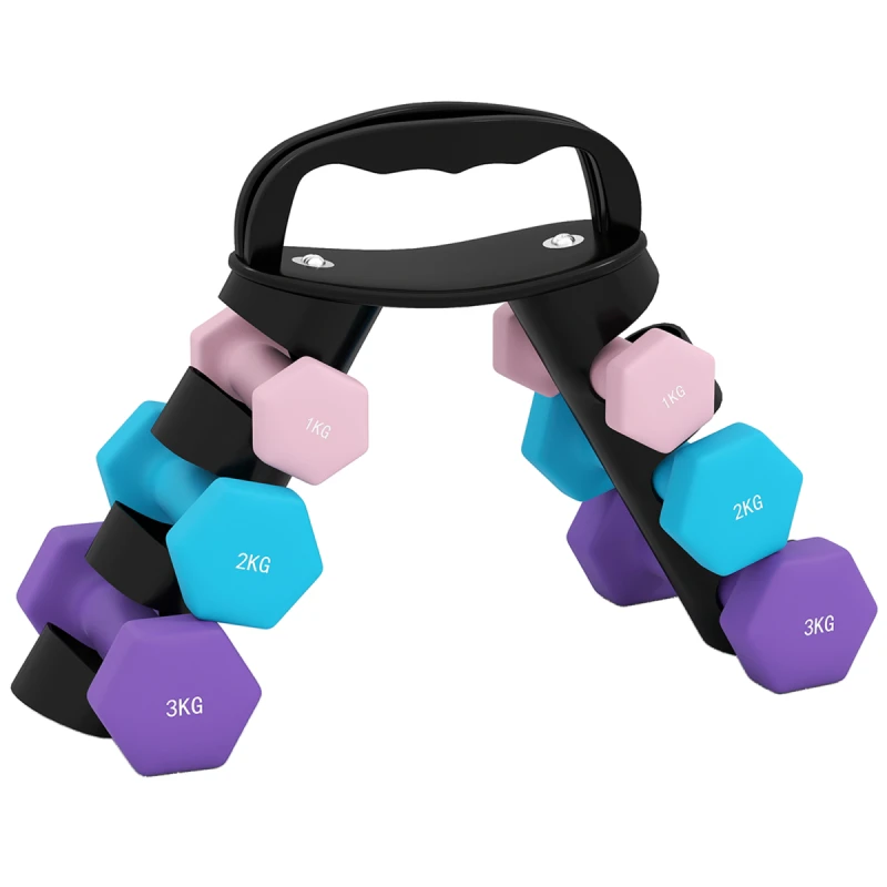 Image of SPORTNOW Dumbbells Set with Storage Rack, 2 x 1kg, 2 x 2kg, 2 x 3kg, Pink A91-360V00PK