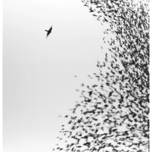 Image of Wilco - Sky Blue Sky Vinyl