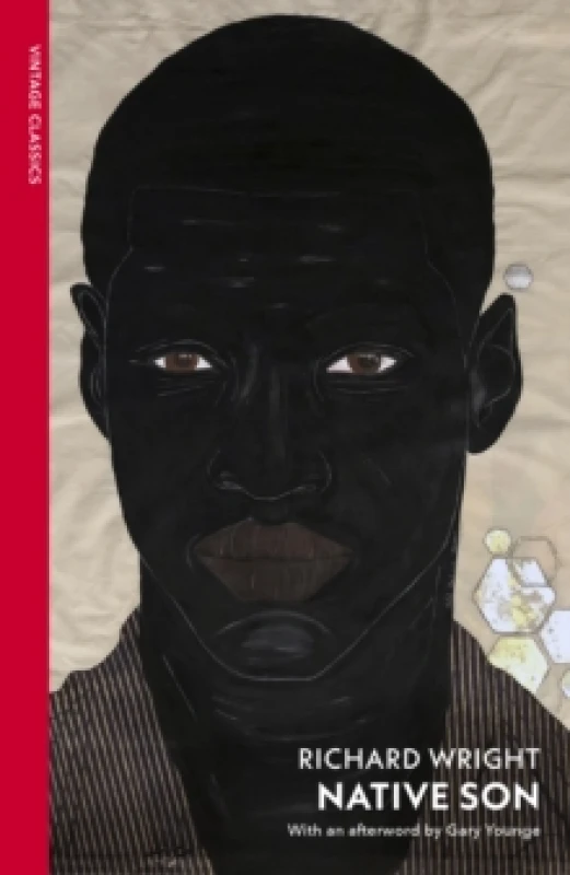 Image of Native Son Paperback / softback