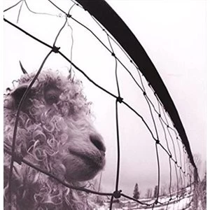 Image of Pearl Jam - Vs Vinyl