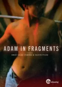 Image of Adam in Fragments