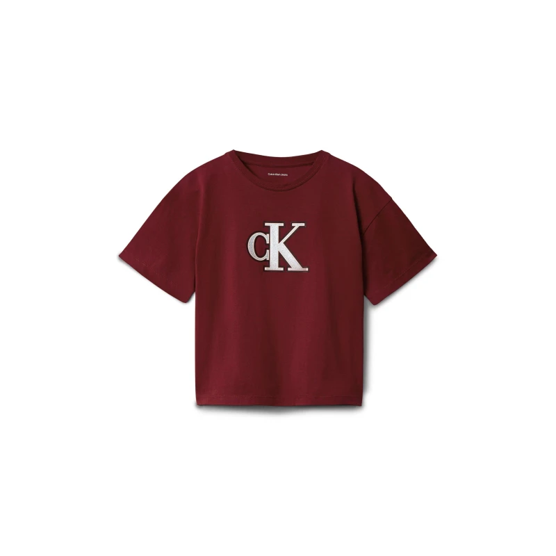 Image of Calvin Klein Jeans Kids Big Logo Regular Fit T-Shirt Raspberry XU4 female 16Y