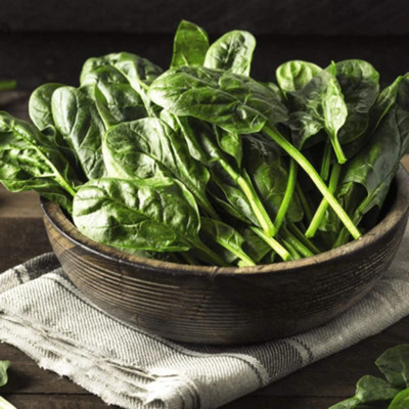 Image of Thompson & Morgan Spinach Monnopa 1 Seed Packet (500 Seeds)