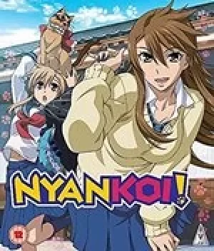 Image of Nyan Koi!: Collection (Bluray)