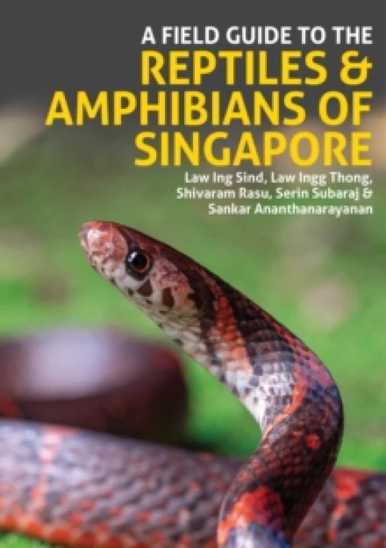 Image of A Field Guide to the Reptiles and Amphibians of Singapore Paperback / softback