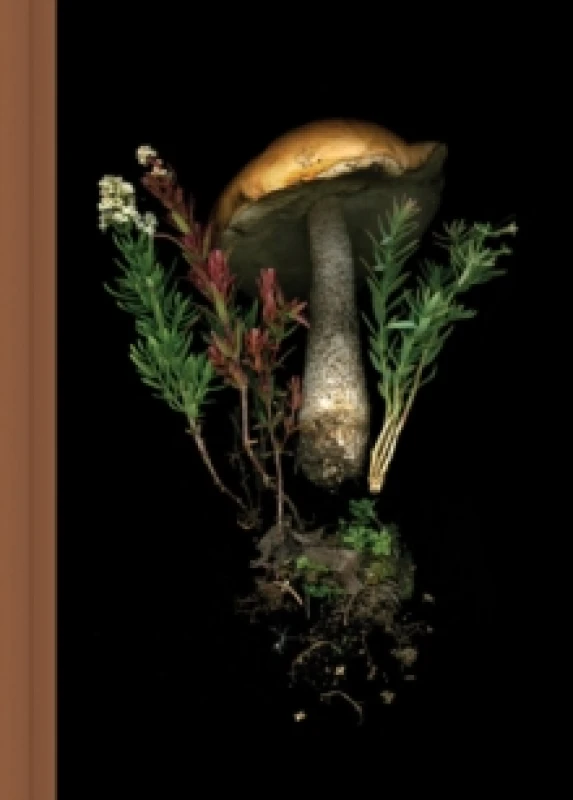 Image of Deep Dark Forest Mushroom Journal Diary or journal