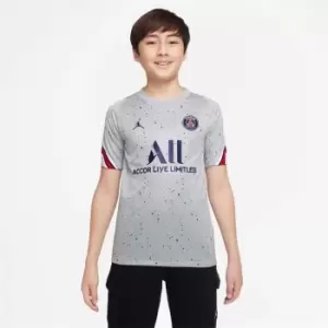 Image of Nike Paris Saint Germain Strike Top 2021 2022 Junior - Grey
