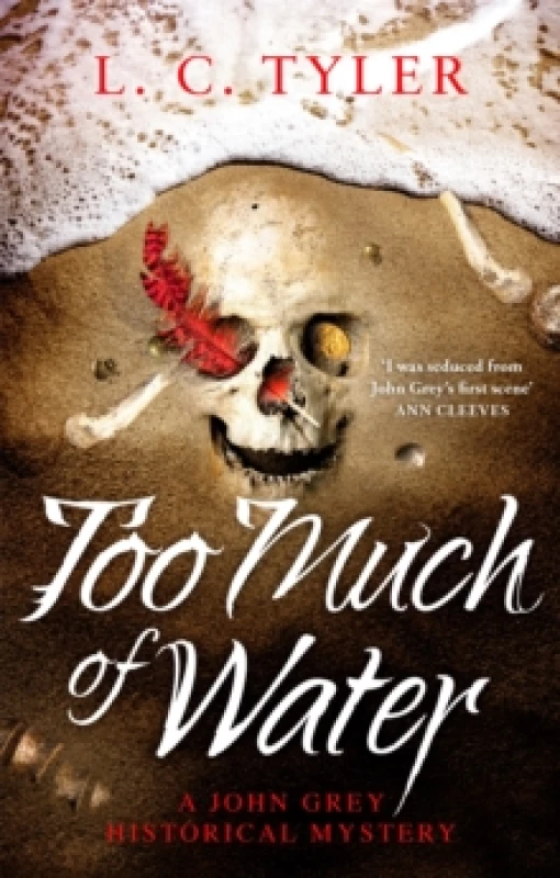 Image of Too Much of Water : a gripping historical crime novel Paperback / softback
