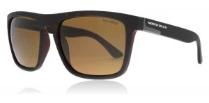 Image of North Beach Palometa Sunglasses Tort Tortoise Polarised 55mm