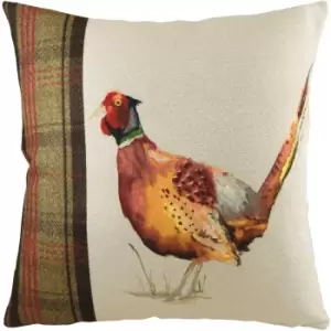 Image of Evans Lichfield - Hunter Pheasant Square Cushion Multicolour - Multicolour