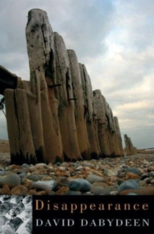 Image of Disappearance Paperback / softback