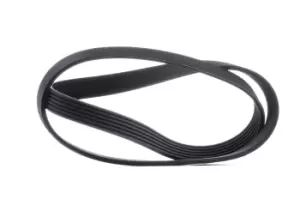 Image of CONTITECH V-ribbed belt OPEL,FORD,RENAULT 6PK1205 55567559,55573160,1612160580 16123515,1612351580,5750FJ,5750RZ,5750VH,5750ZG,117205191R,9004831047