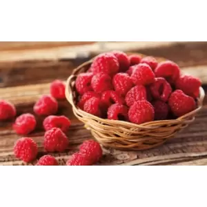 Image of Thompson & Morgan Thompson and Morgan Raspberry 'Autumn Bliss' - 6 plants