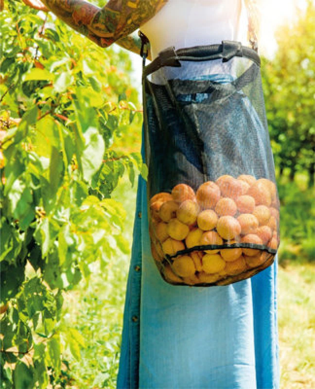 Image of Netagon Garden Outdoor Fruit Vegatable Wash Mesh Lightweight Harvest Farming Picking Bag