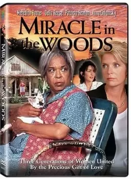 Image of Miracle in the Woods - DVD - Used