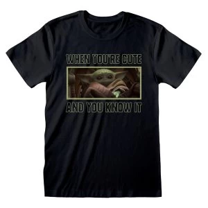 Image of Star Wars - The Mandalorian When You're Cute and You Know It Unisex Large - Black