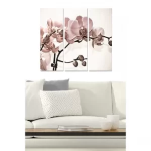 Image of MDF40002 Multicolor Decorative MDF Painting (3 Pieces)