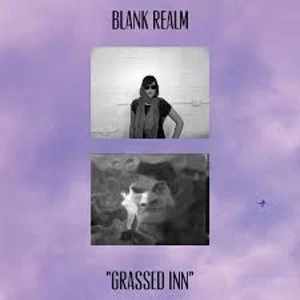 Image of Blank Realm - Grassed Inn" Vinyl