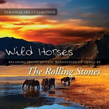 Image of Judson Mancebo - Wild Horses CD