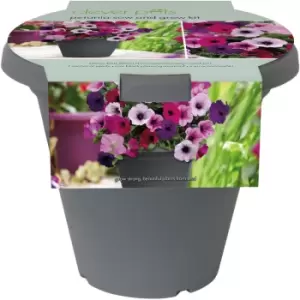 Image of Clever Pots Salad Sow and Grow Kit - Garden & Outdoor