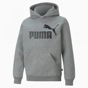 Image of PUMA Essentials Big Logo Youth Hoodie, Medium Grey Heather, size 11-12 Youth, Clothing