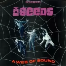 Image of A Web of Sound