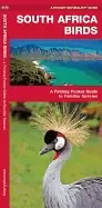 Image of south africa birds a folding pocket guide to familiar species