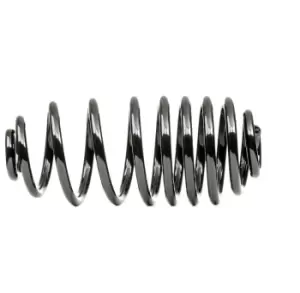 Image of RIDEX Coil spring Rear Axle 188C1399 Suspension spring,Springs RENAULT,KANGOO / GRAND KANGOO (KW0/1_),KANGOO Express (FW0/1_)