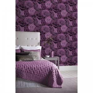 Image of Austin Rose Wallpaper