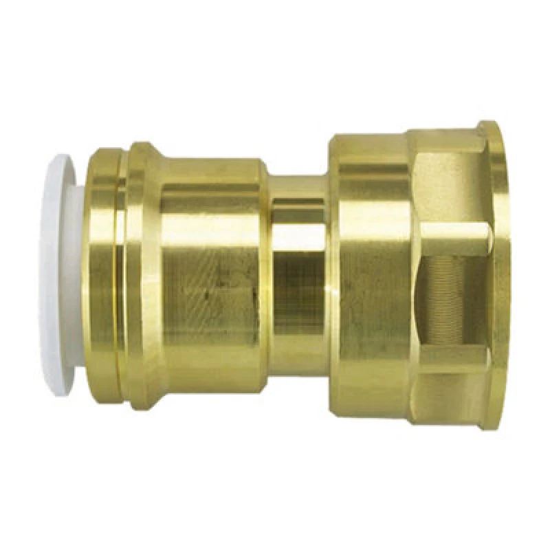 Image of JG Speedfit John Guest Speedfit Brass Cylinder Adaptor 22mm X 1" Female