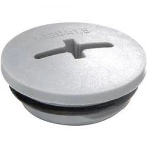 Image of Wiska 10064653 EVSG ORD M25 RAL 7001 Locking Screw With Fitted O Ring Metric