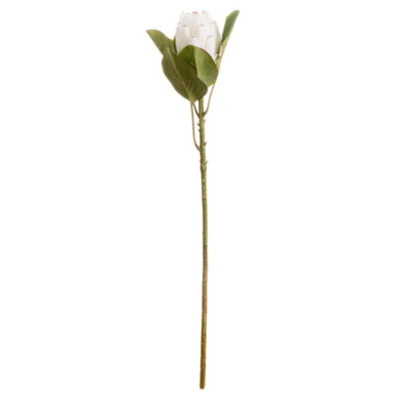 Image of Hill Interiors Artificial Closed Protea Flower White (One Size)