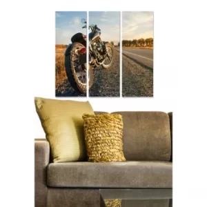 Image of MDF290736494 Multicolor Decorative MDF Painting (3 Pieces)