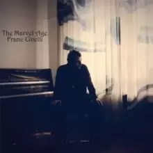 Image of The Marvel Age