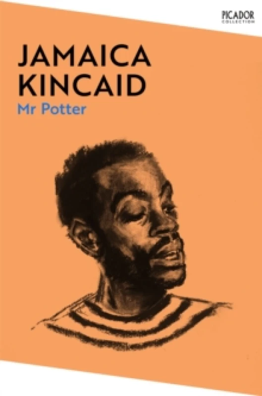 Image of Mr Potter Paperback / softback