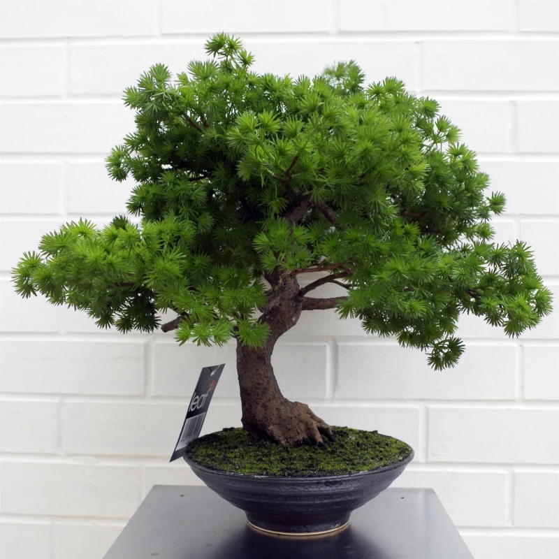 Image of Leaf 50cm Artificial Luxury Pine Bonsai Tree Green