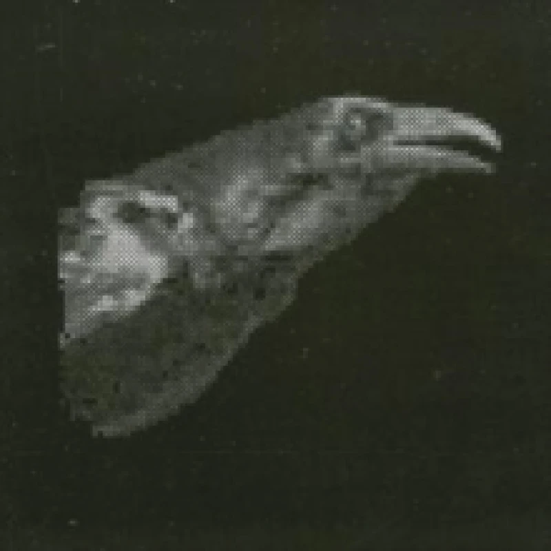 Image of Exit Decades CD / Album