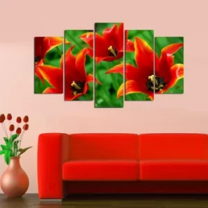 Image of 5MF-1 Multicolor Decorative MDF Painting (5 Pieces)